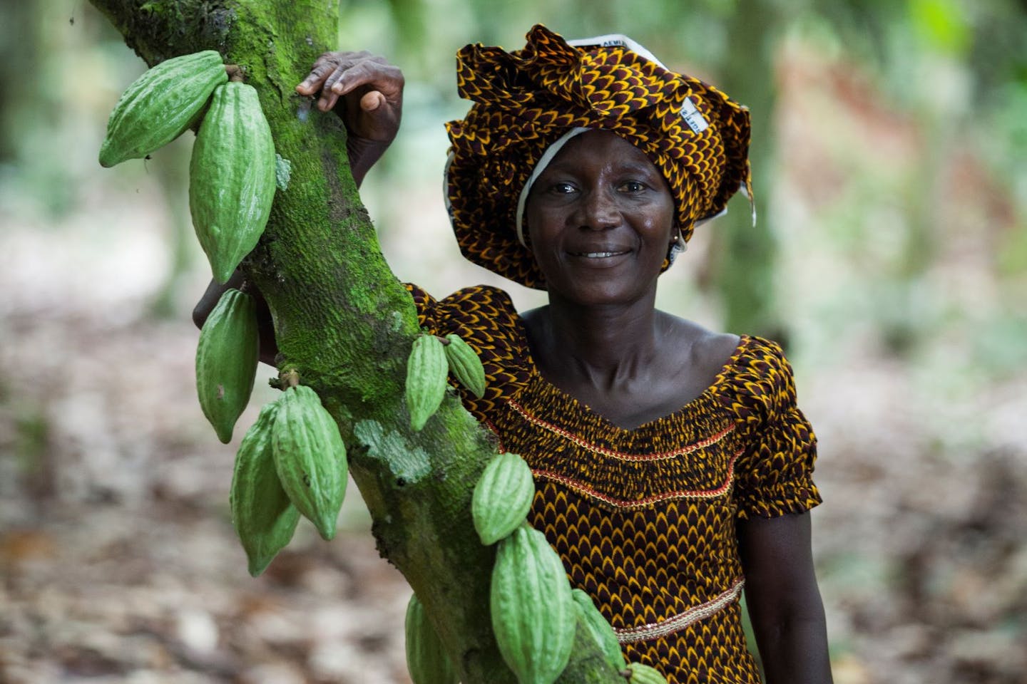 More dough for cocoa farmers