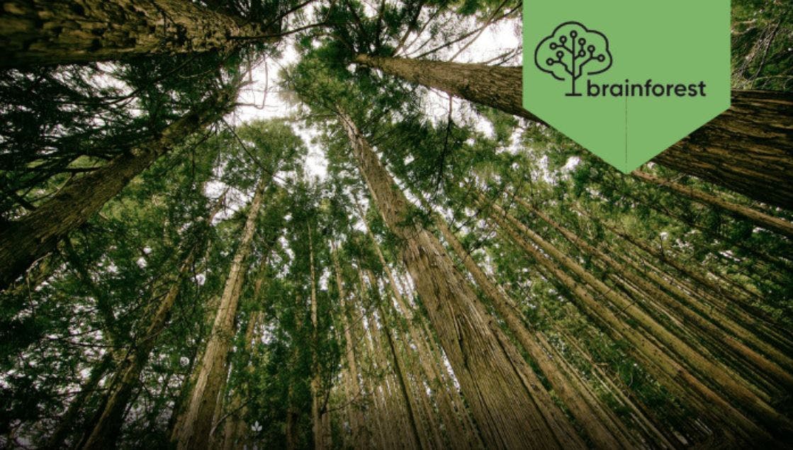 Start-ups for more forests and a better climate