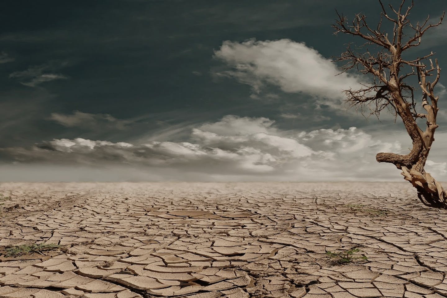 Is the world sleepwalking into a climate crisis?