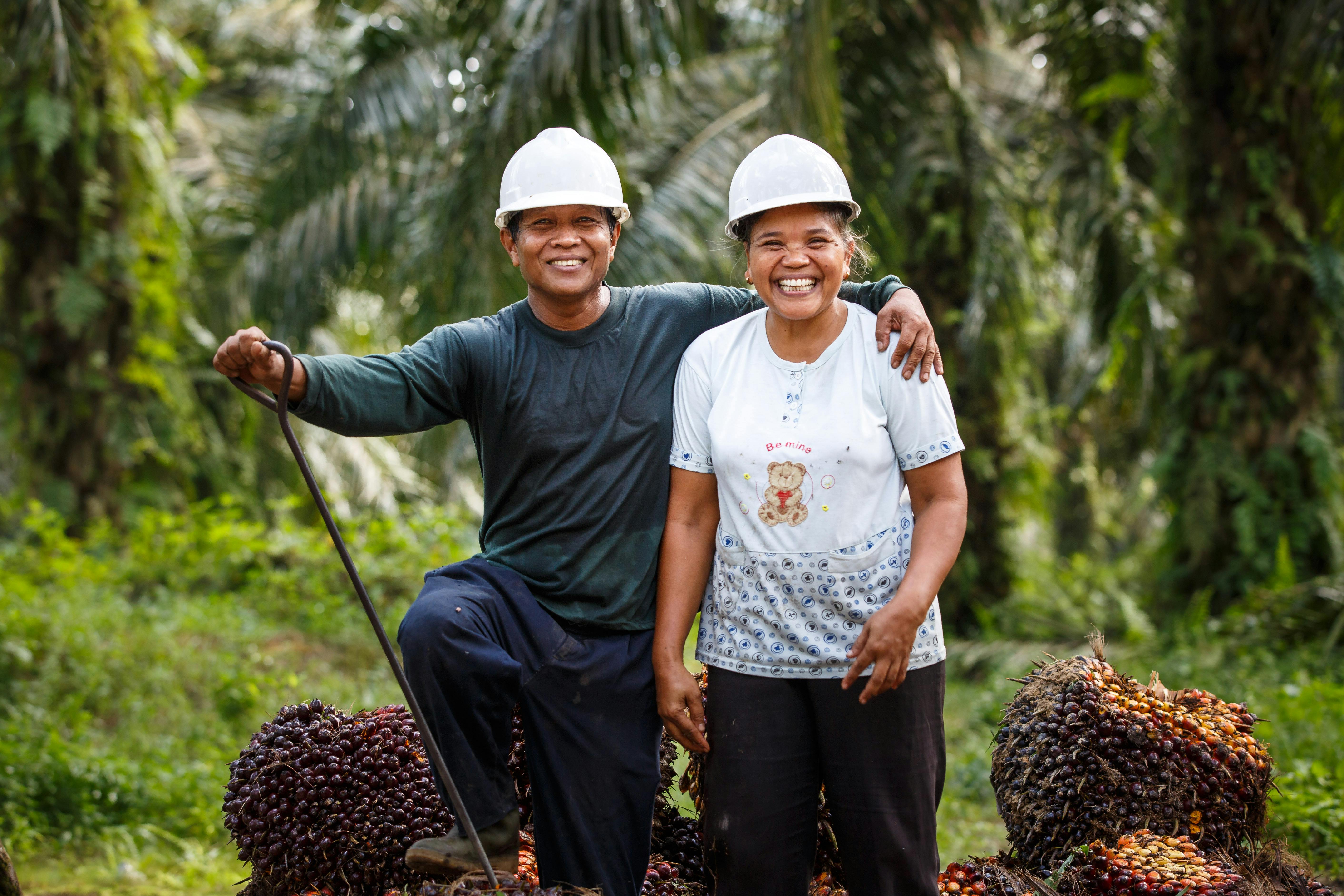 Roundtable on Sustainable Palm Oil