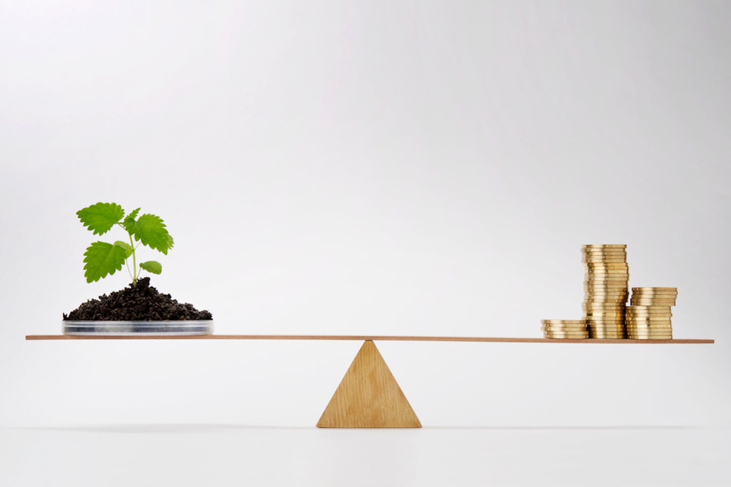 TPG announces US$5.4 billion first close of TPG rise climate fund