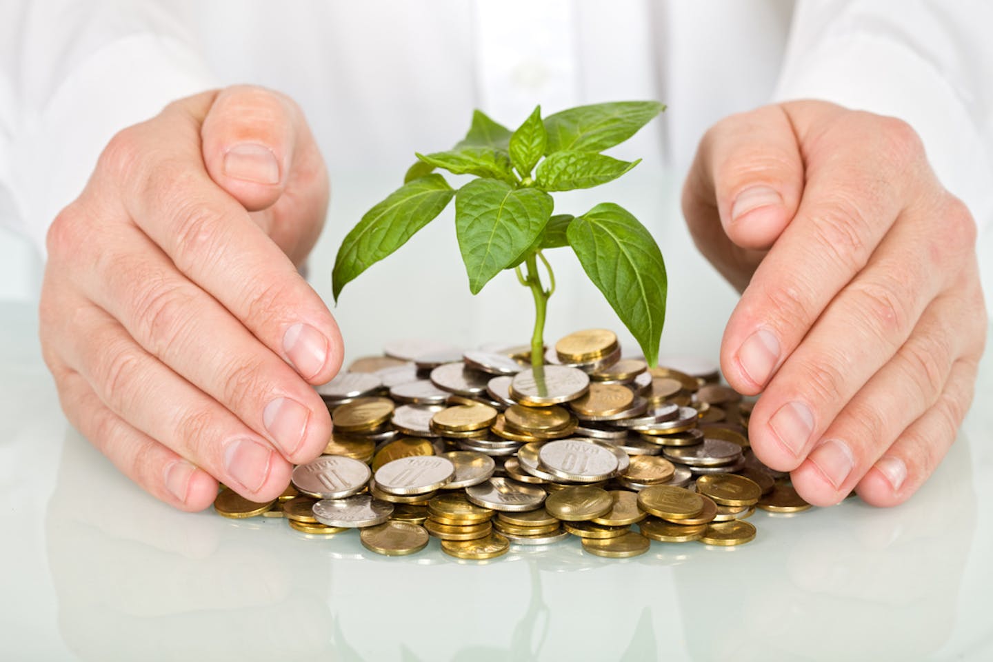 Australian Ethical research: Climate change now #1 driver for ESG investors