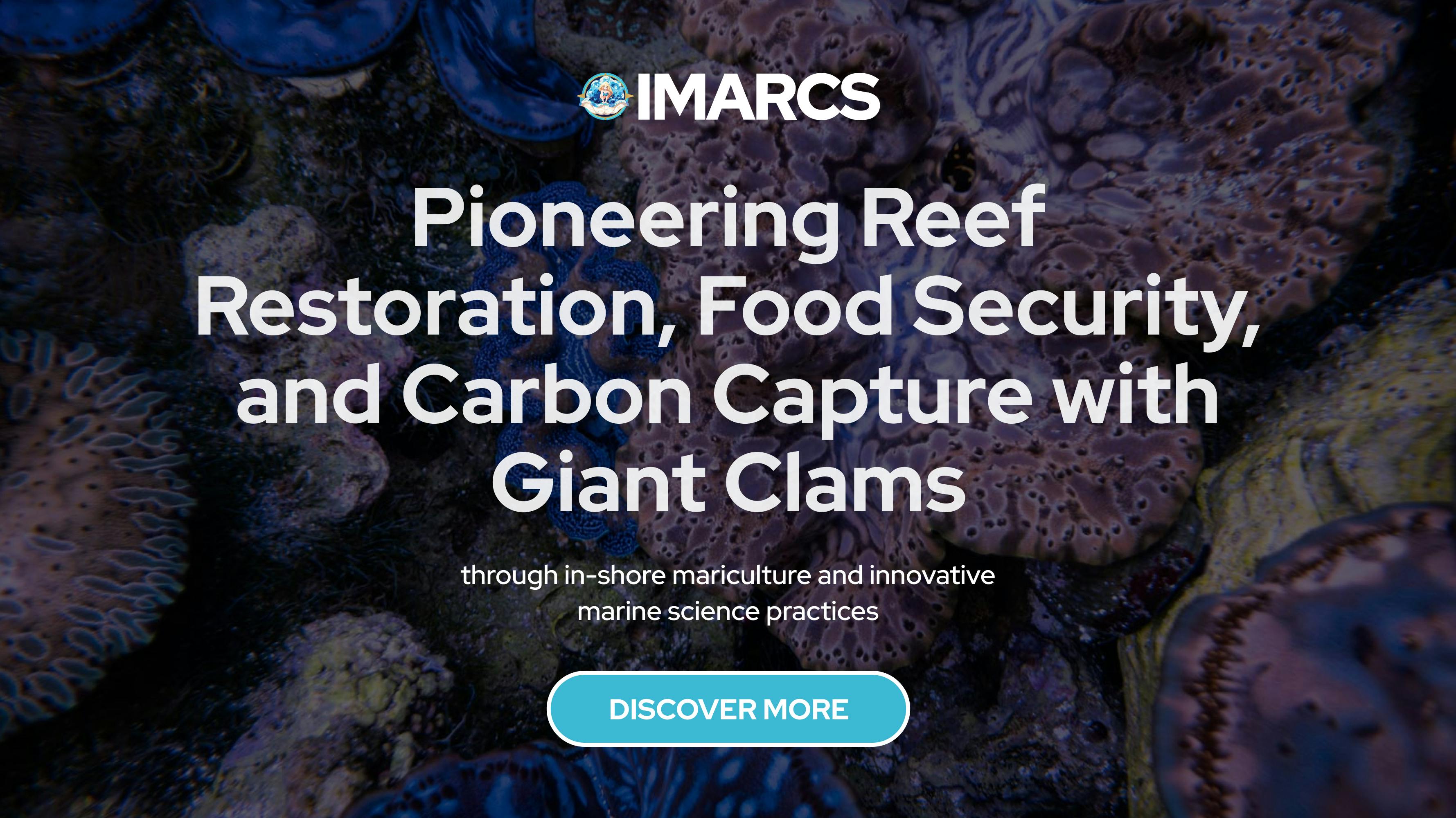Innovative mariculture solutions: IMARCS Foundation's work with giant clams