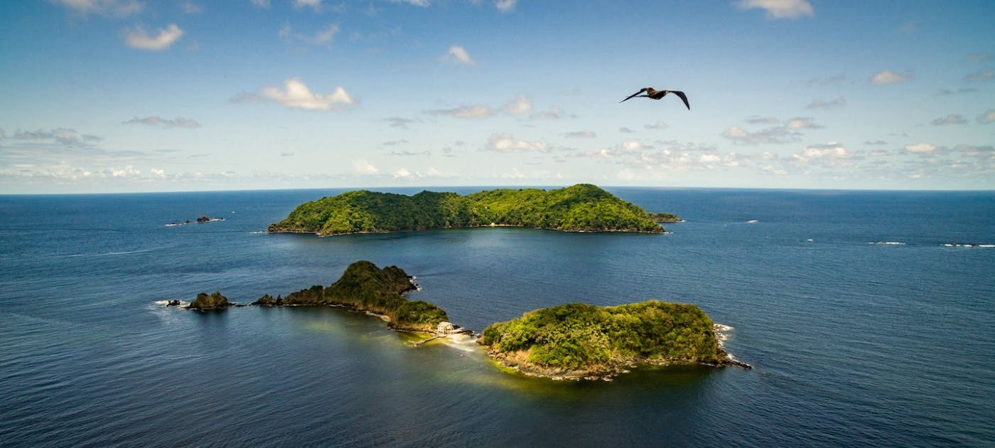 New app helps young people turn tide on plastic pollution