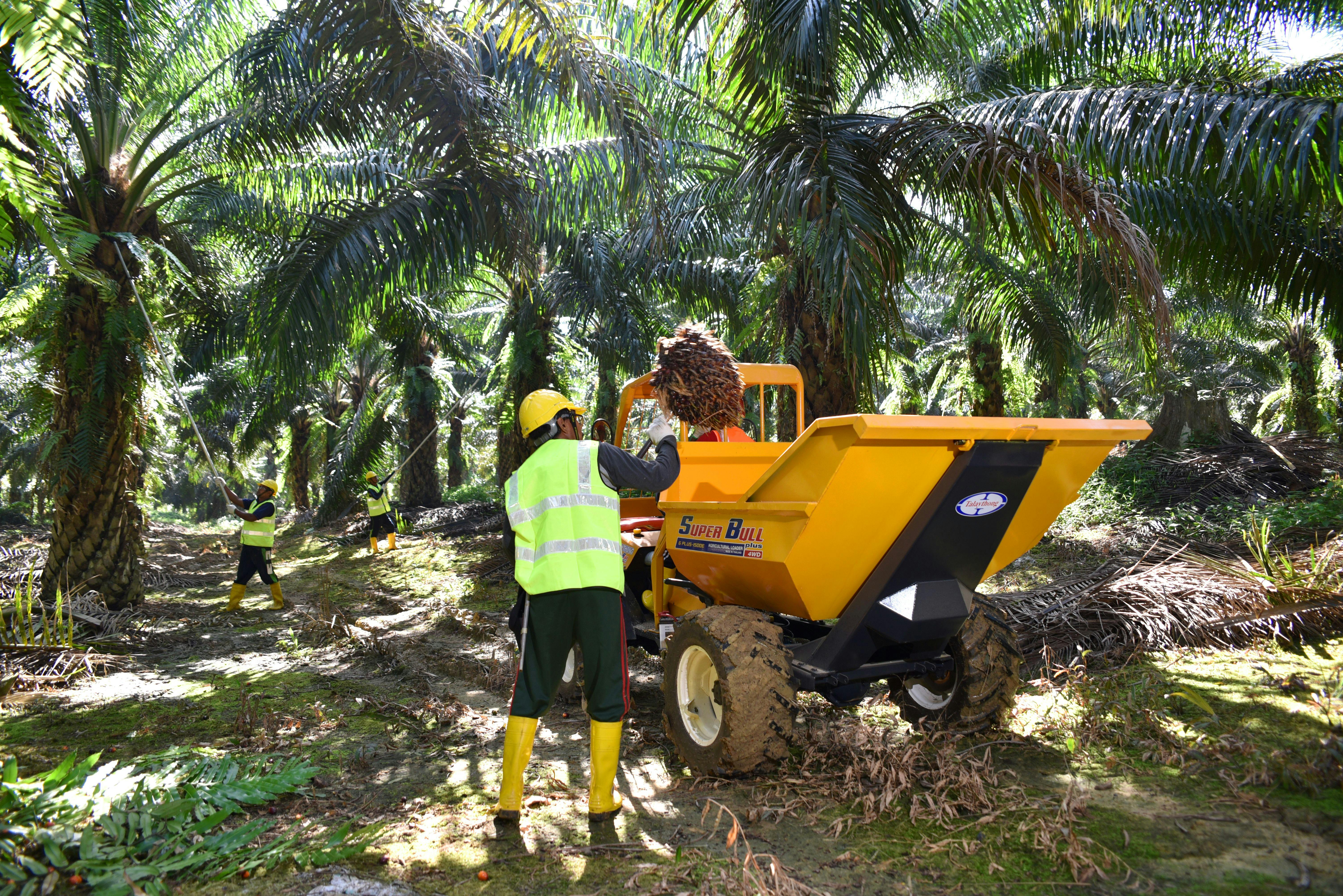 Wilmar International