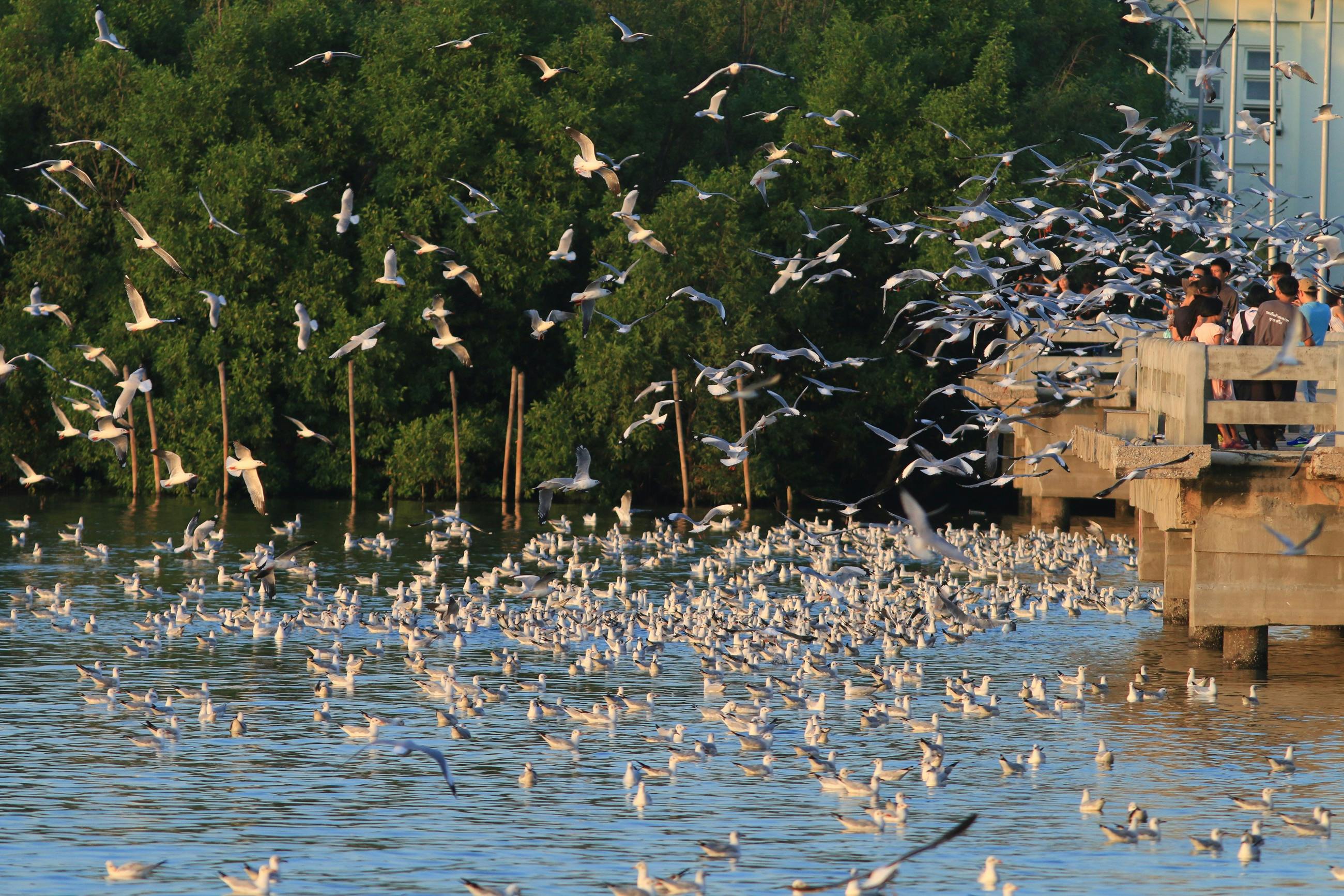 Thailand’s Bang Pu Nature Education Centre is Asean's 63rd heritage park