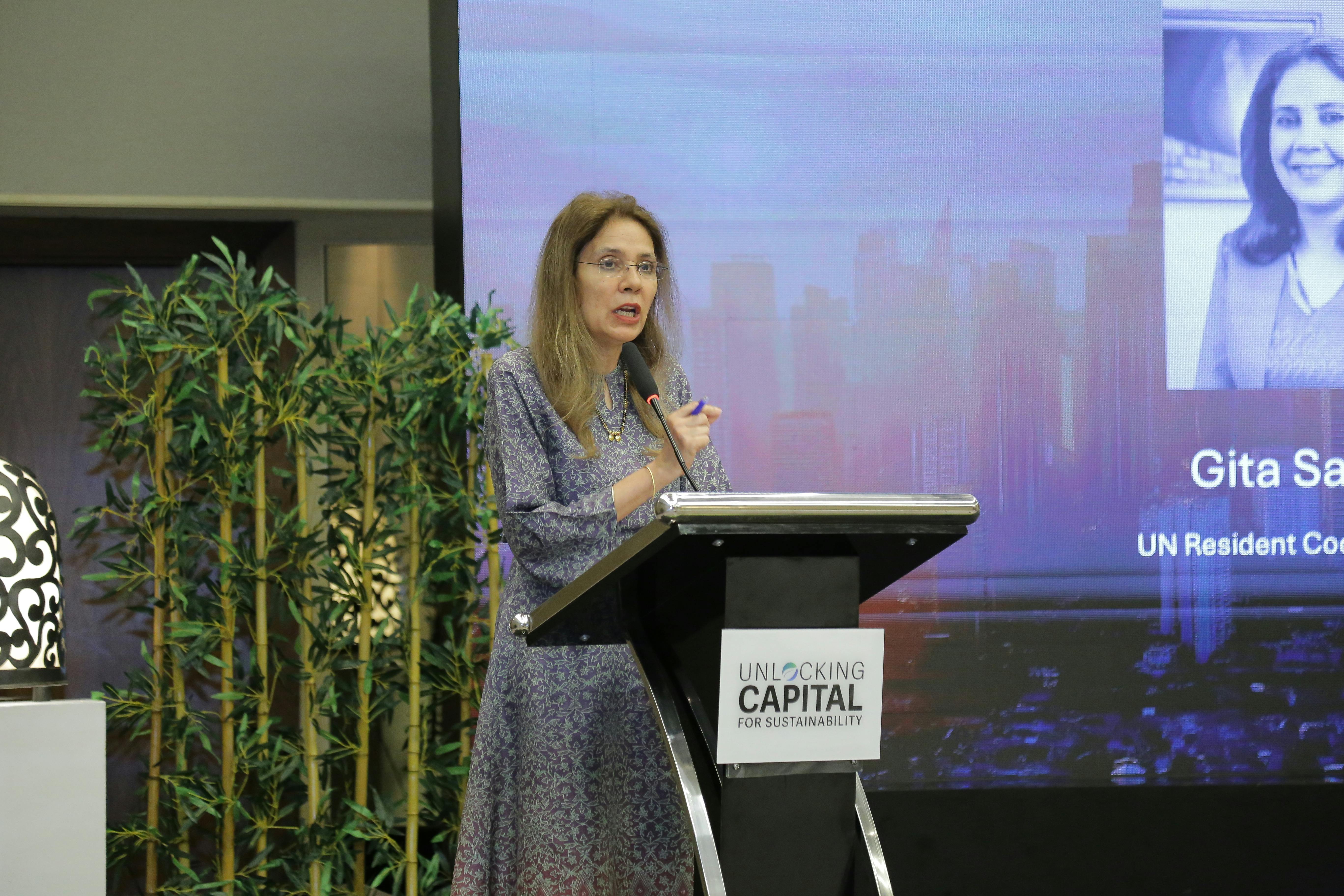 Private investment key to plugging Indonesia’s trillion-dollar sustainable finance gap amid growing externalities: industry experts