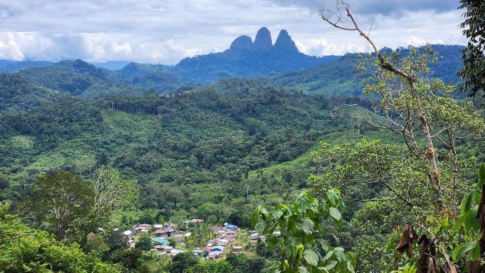 Upper Baram Forest Area set to launch