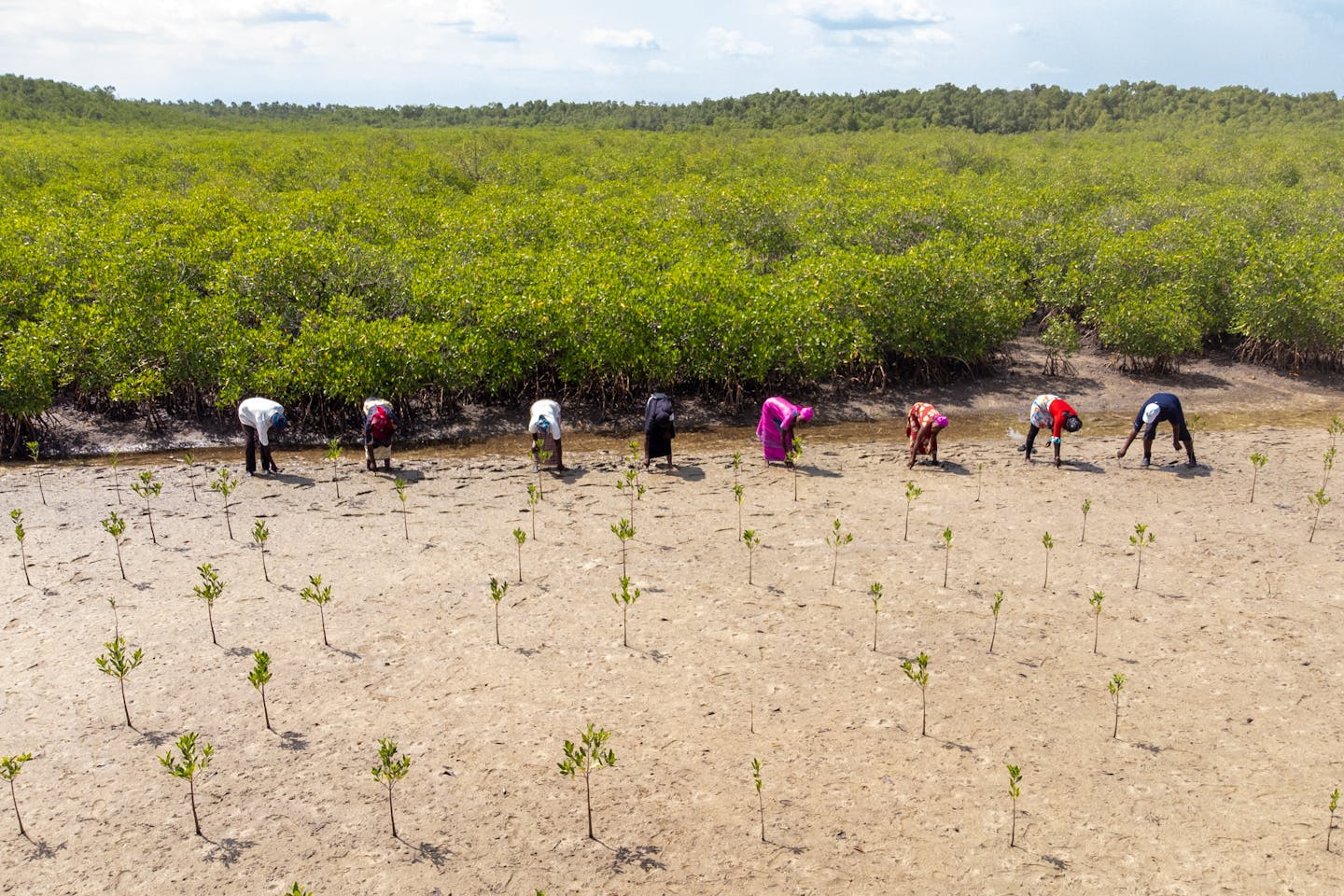 IFAD calls on world leaders for small-scale farmers to receive decent wages