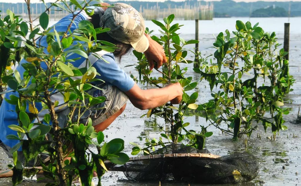 A window of opportunity for climate change and biodiversity