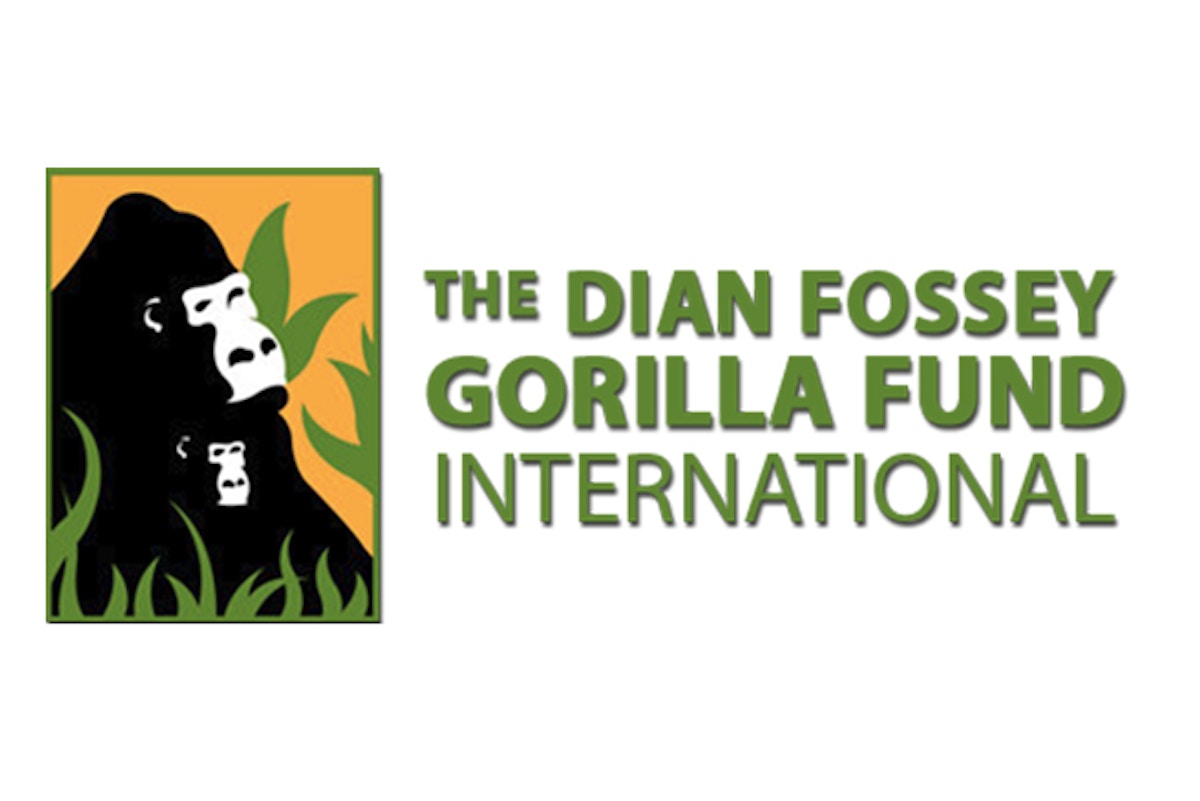 Dian Fossey Gorilla Fund announce new collaboration for carbon-neutral PERL NFTs