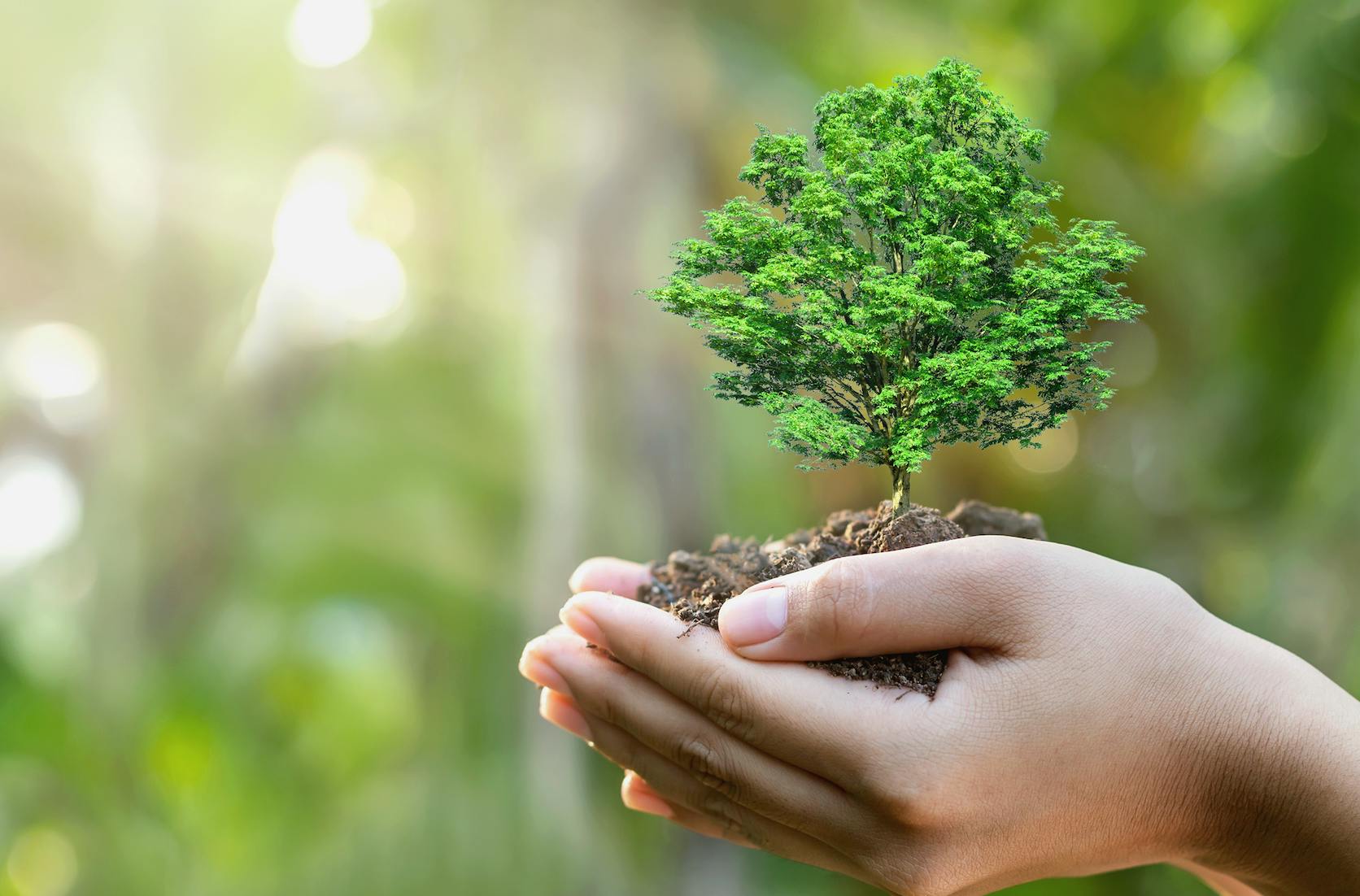 Climate Neutral Group