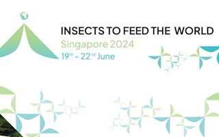Insects in Singapore: Insects to Feed the World 2024 Conference | Press ...