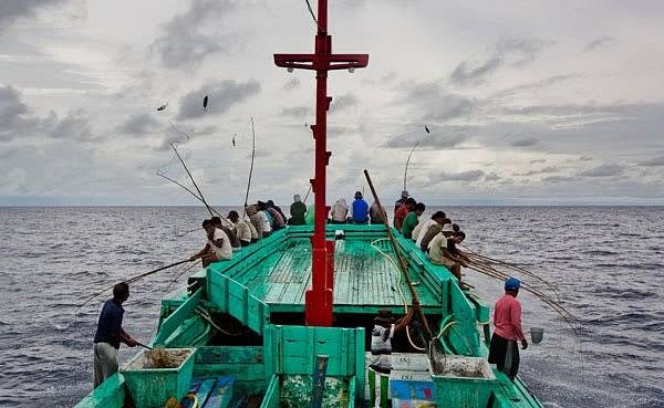 First Indonesia tuna fishery achieves MSC Certification
