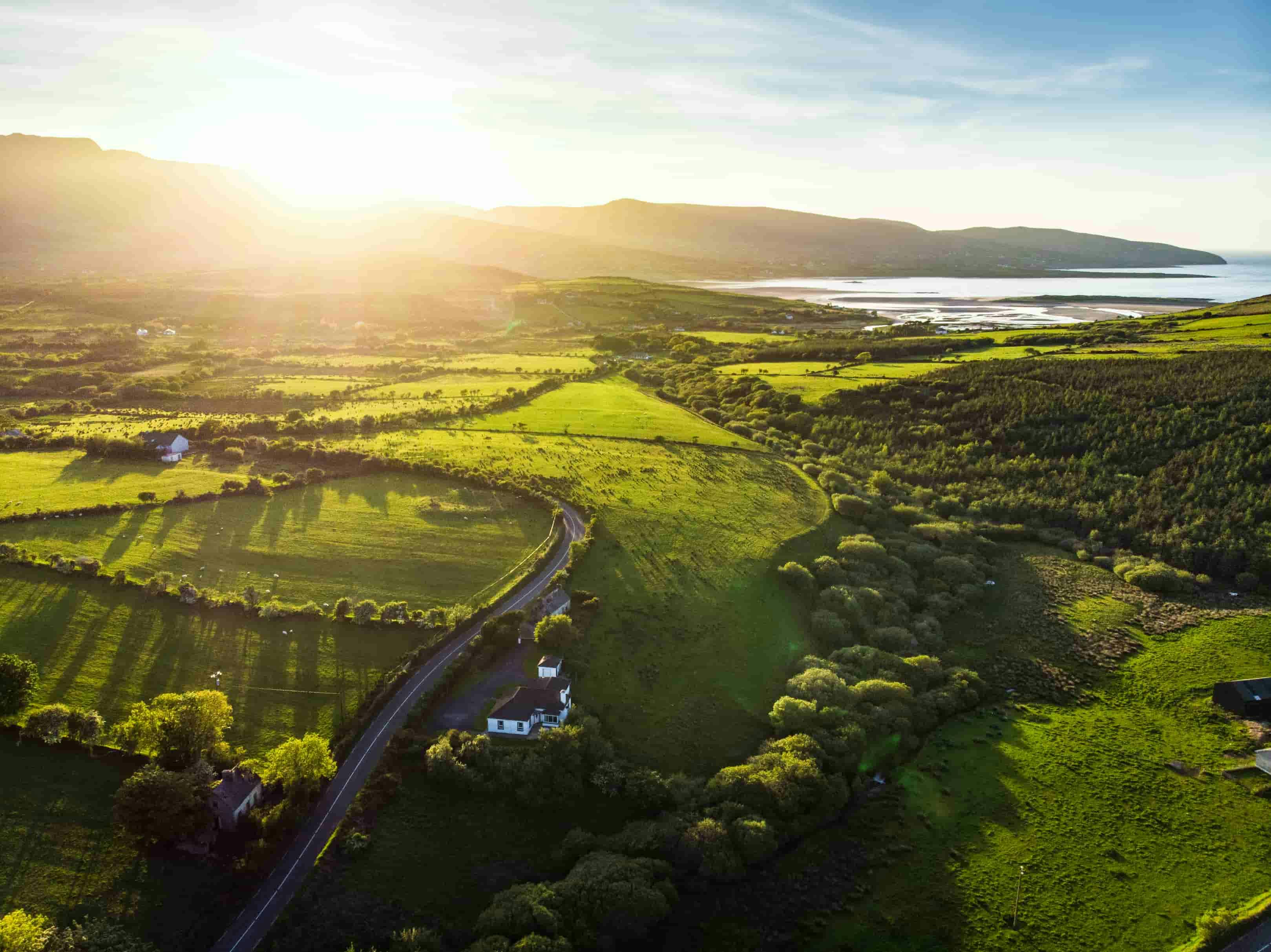 ‘European dairy from Ireland’ responds to growing demand for functional nutrition