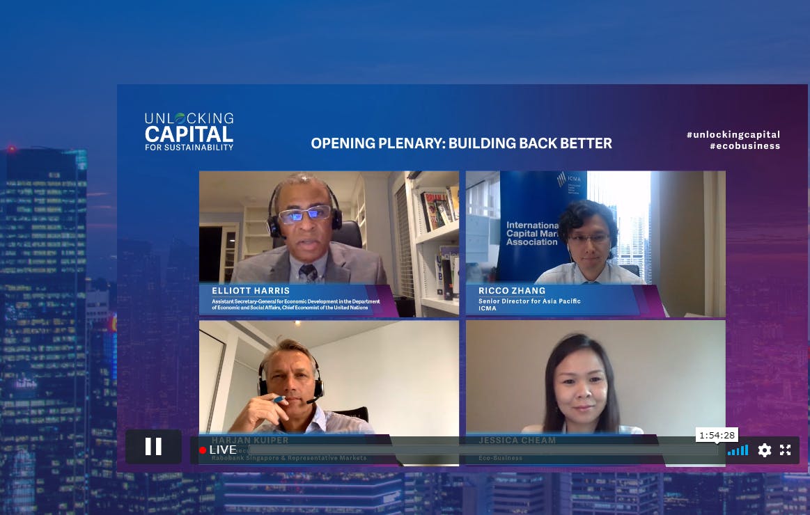 How can we mobilise finance to build back a resilient, sustainable post-Covid economy?