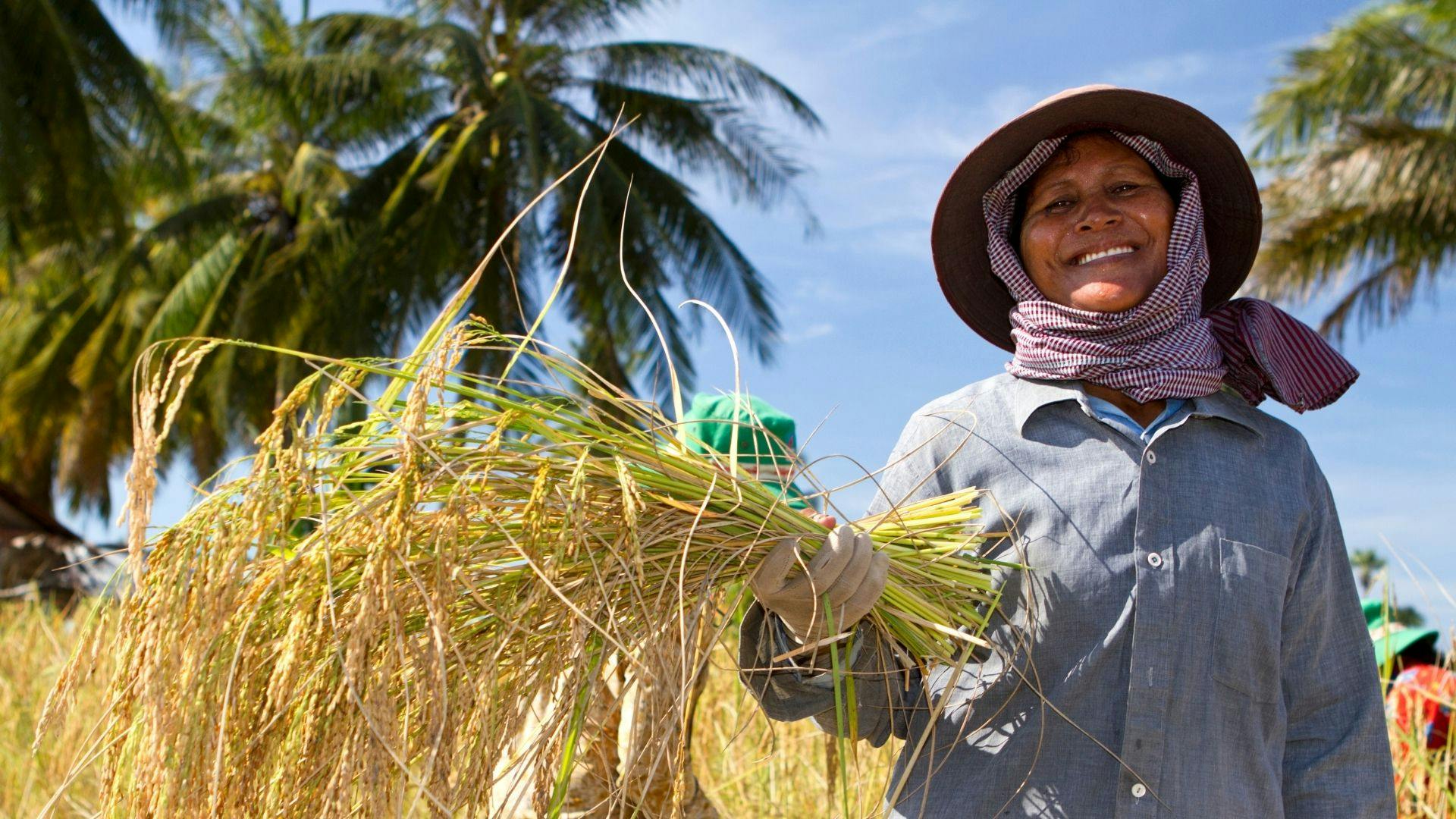 Agri startups from Southeast Asia to pitch climate-smart solutions at SAFE Impact Showcase