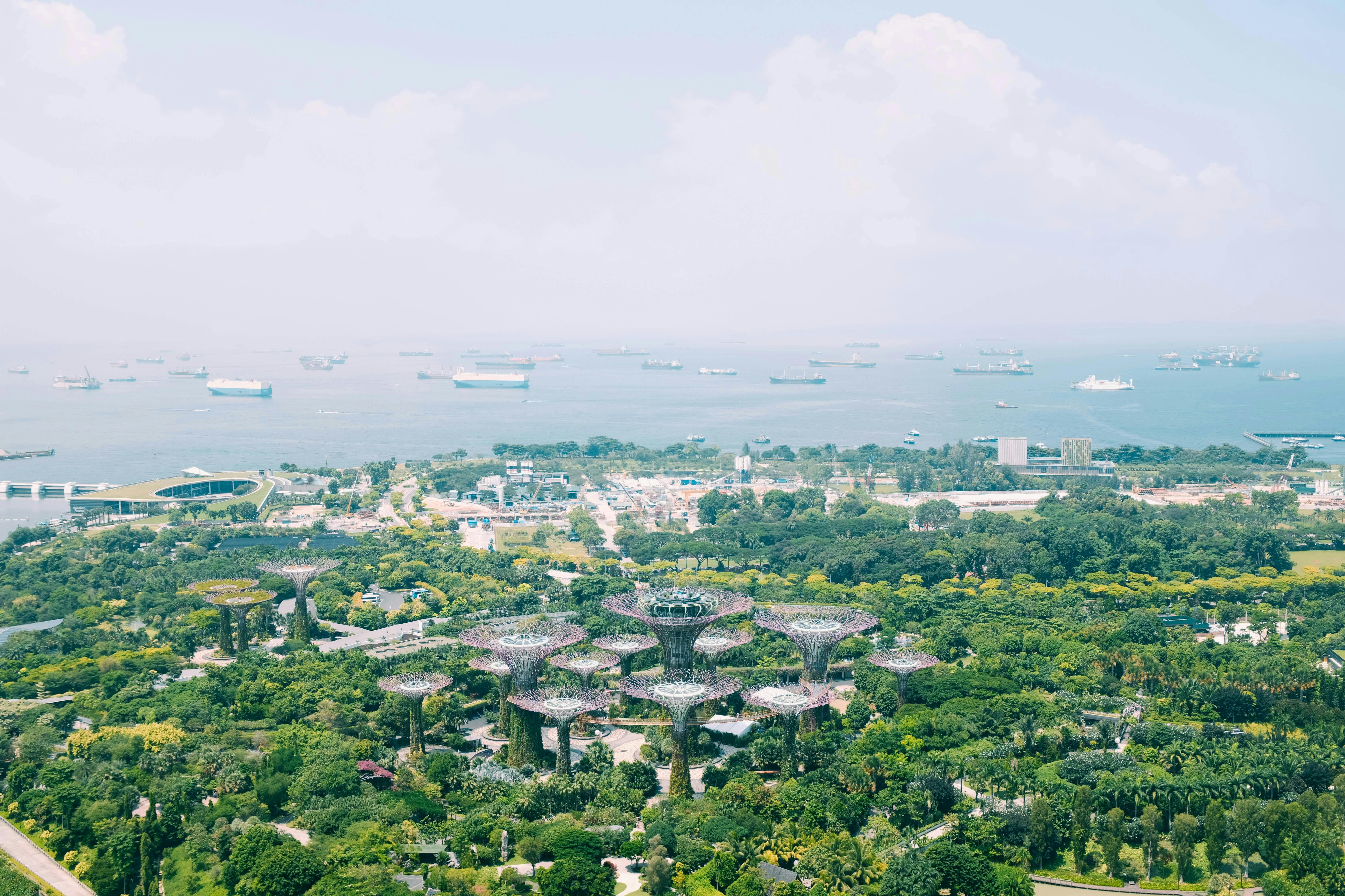 Tuas Power accelerates Singapore’s low-carbon future, pioneering nation’s largest biomass facility