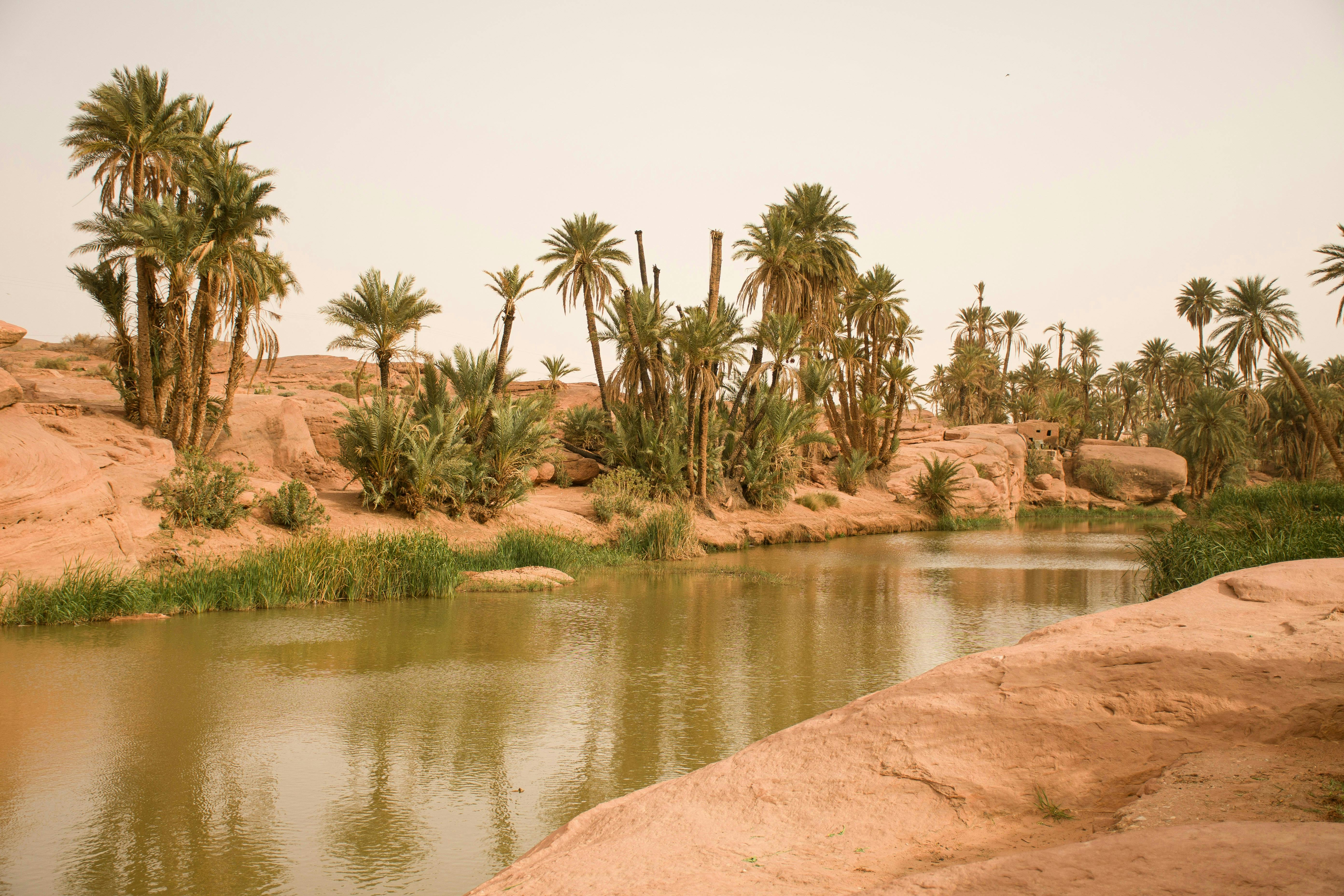 Greening lands, feeding people: UN awards three restoration flagships at UNCCD COP17