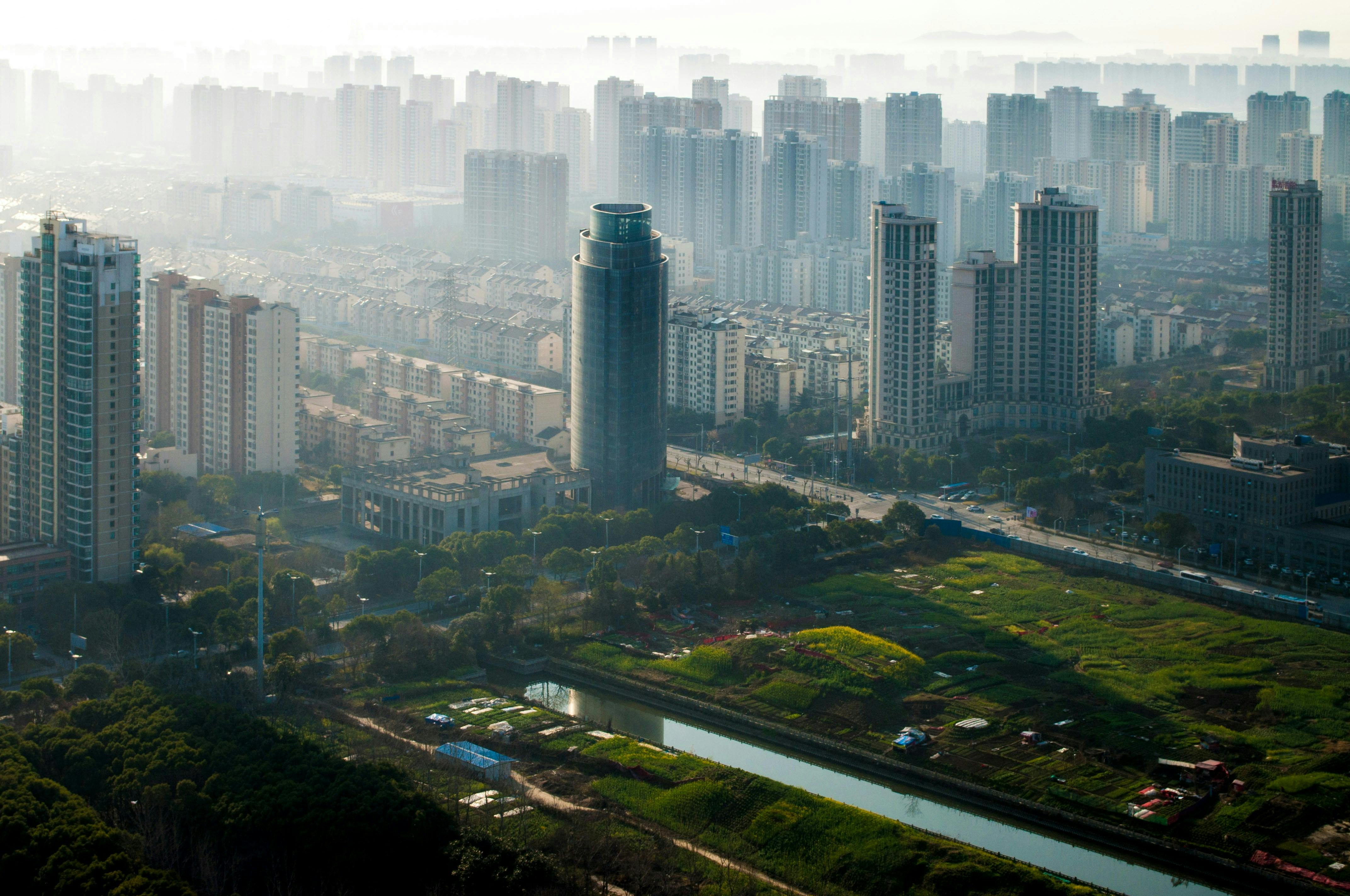 United Nations Environment Programme (UNEP)