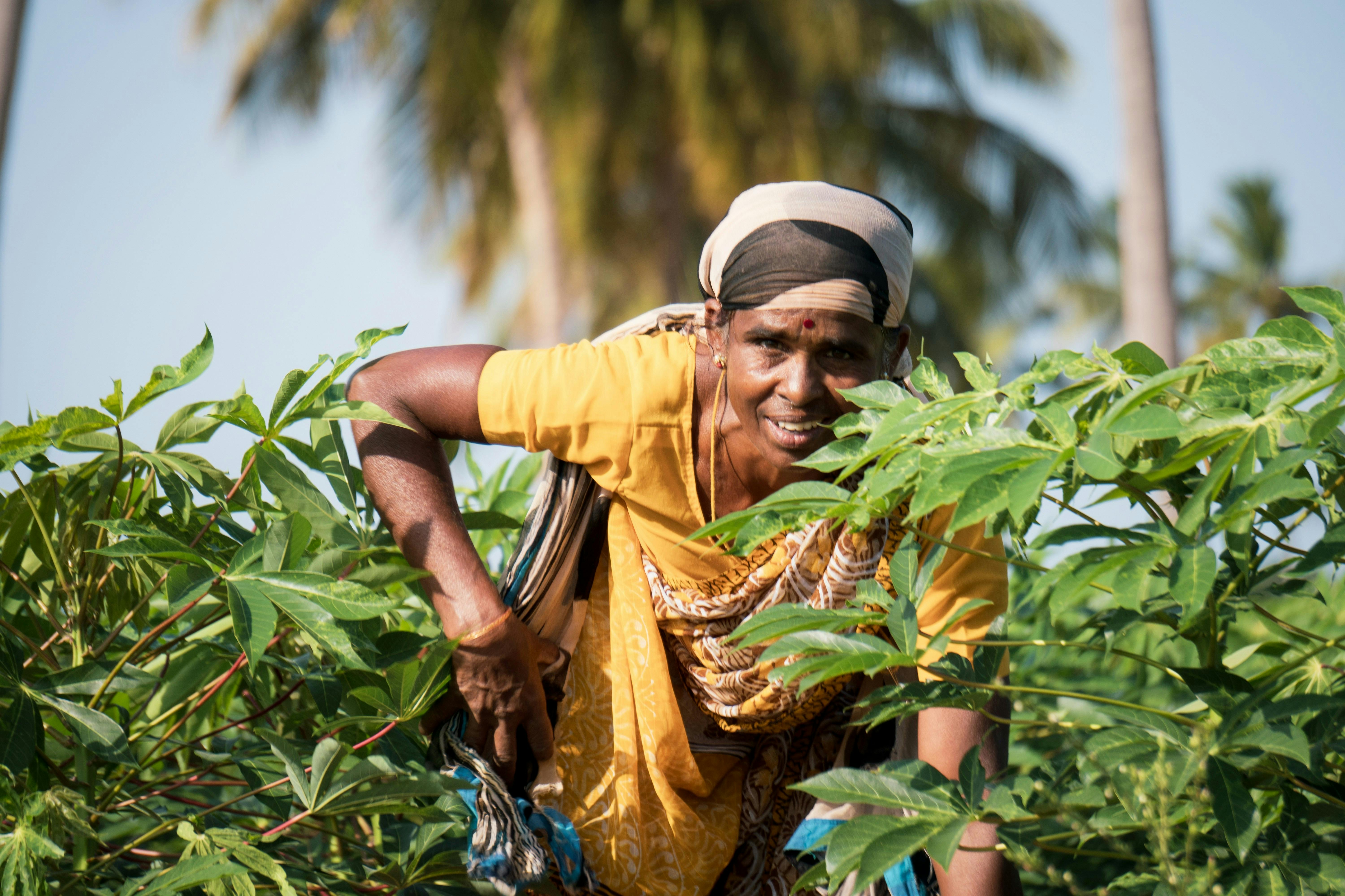 Extreme heat costing poor women workers over US$57 billion in earnings a year