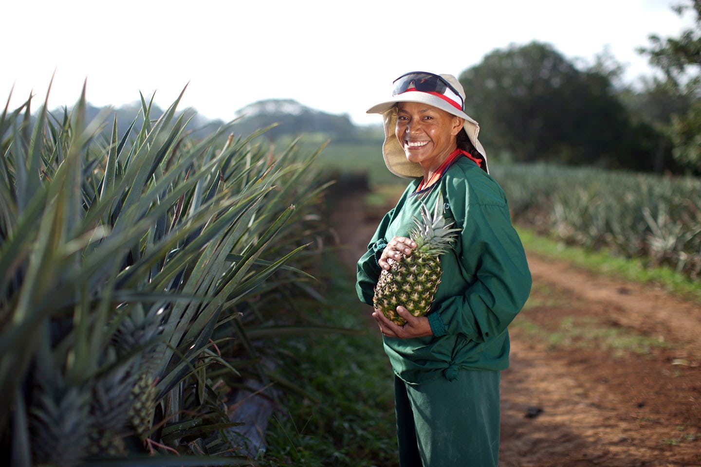 Dole makes moves toward zero waste goal as repurposed pineapple leaves find their way to global lifestyle brands