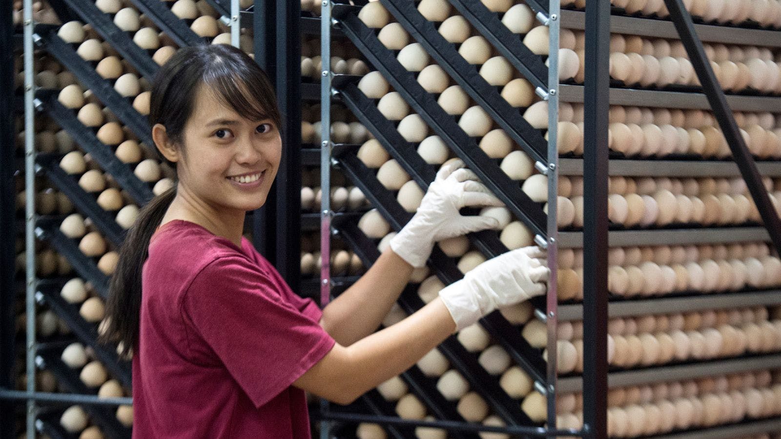 Climate projects, MSMEs, women and farmers benefit from record year for IFC in Asia-Pacific region