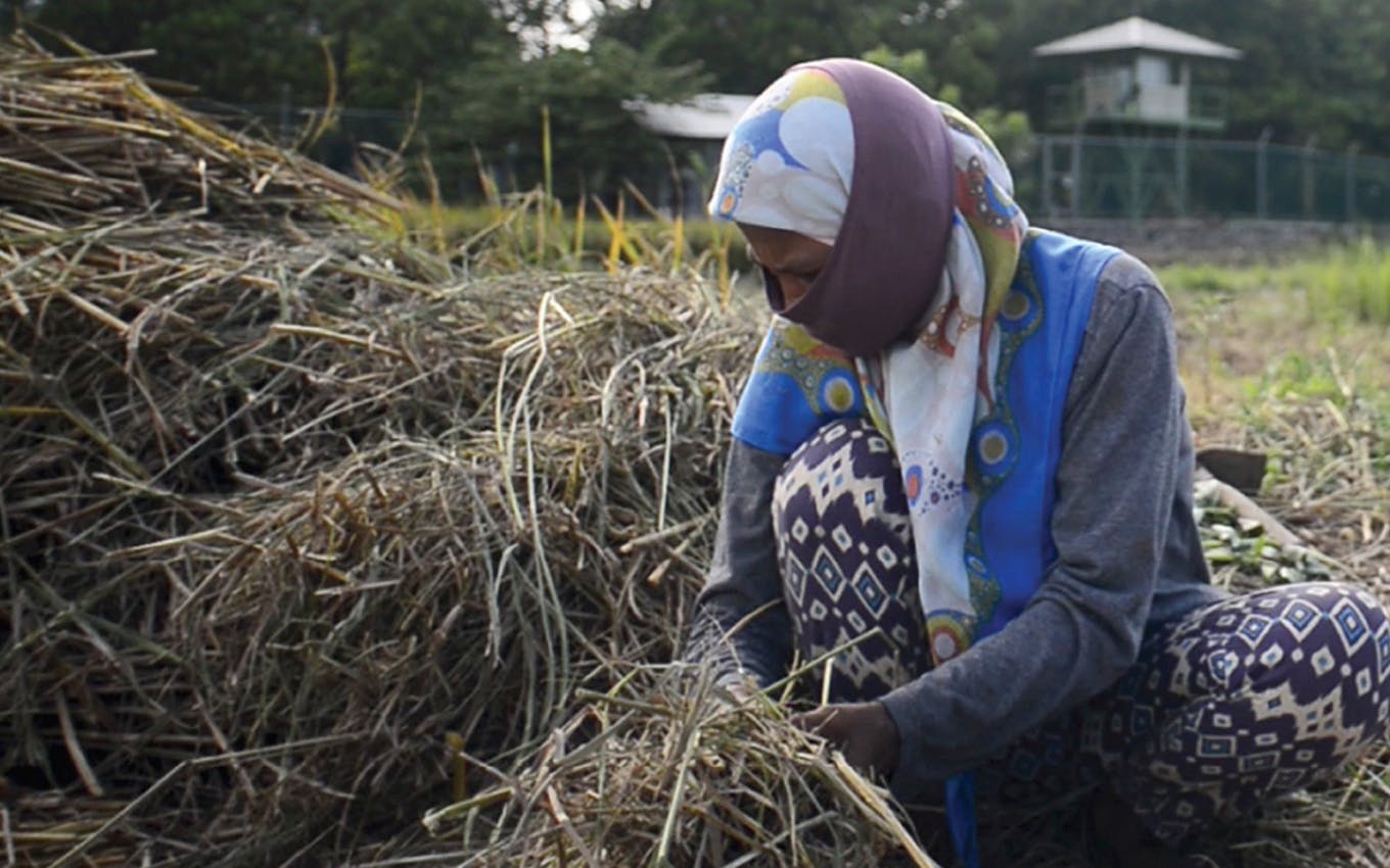 Fair Finance Asia reveals critical gaps in gender considerations of the Asian Development Bank’s Energy Transition Mechanism pilot in Indonesia’s Cirebon 1