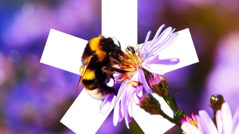 Global ESG regulation increases by 155 per cent over the past decade