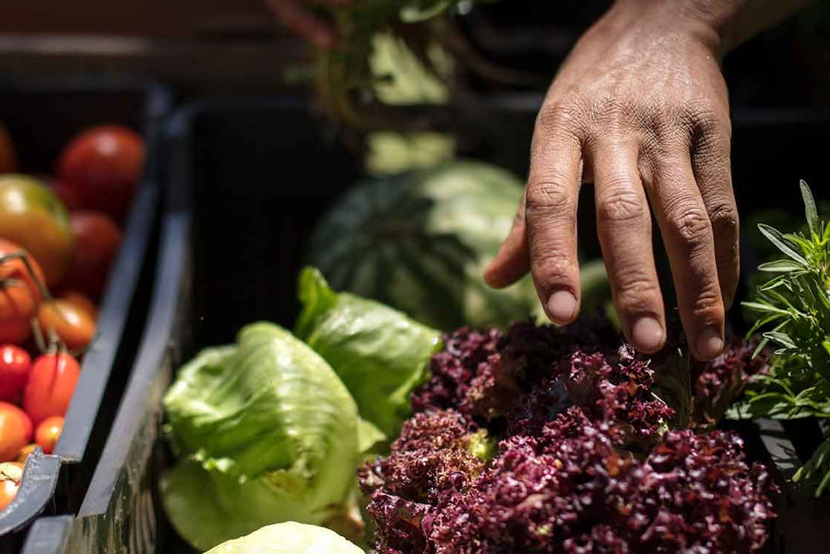 IFC launches financing platform to respond to global food crisis, build ... Biology Diagrams