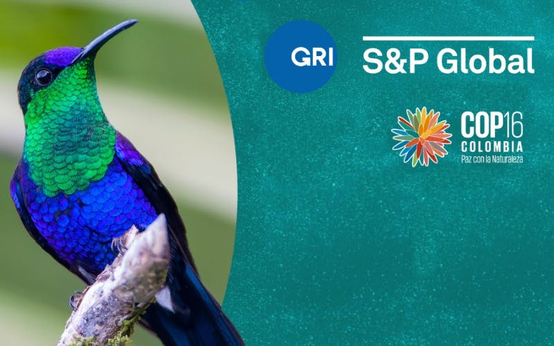 COP16: Transparency crucial to move from ambition to action