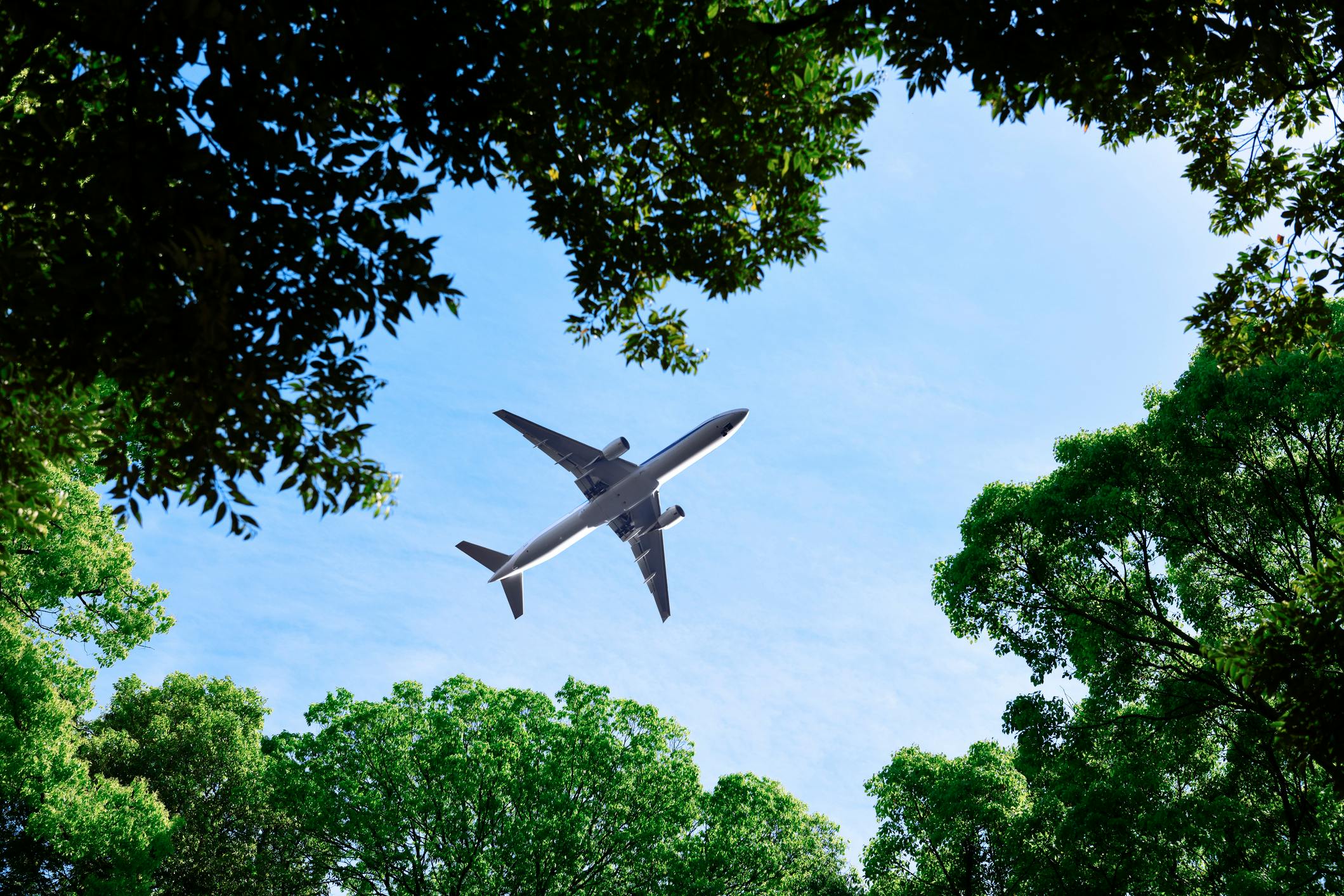 New EcoSecurities report outlines effective approaches for airlines to decarbonise under CORSIA