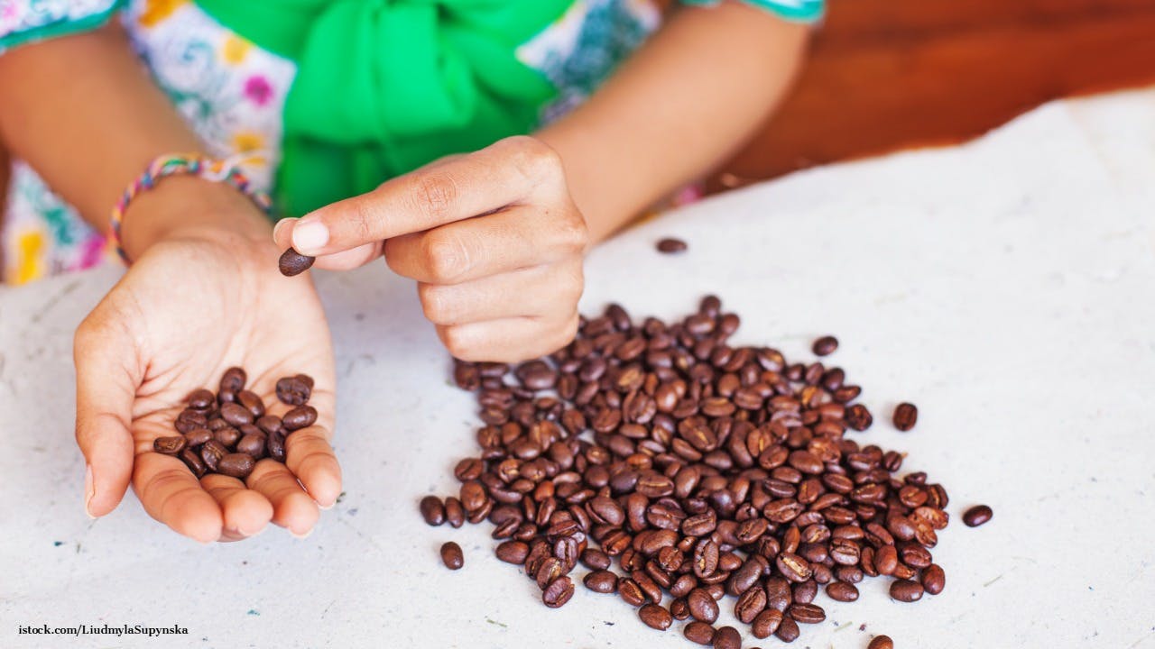 Southeast Asia’s businesswomen ride coffee’s third wave: study in four emerging economies