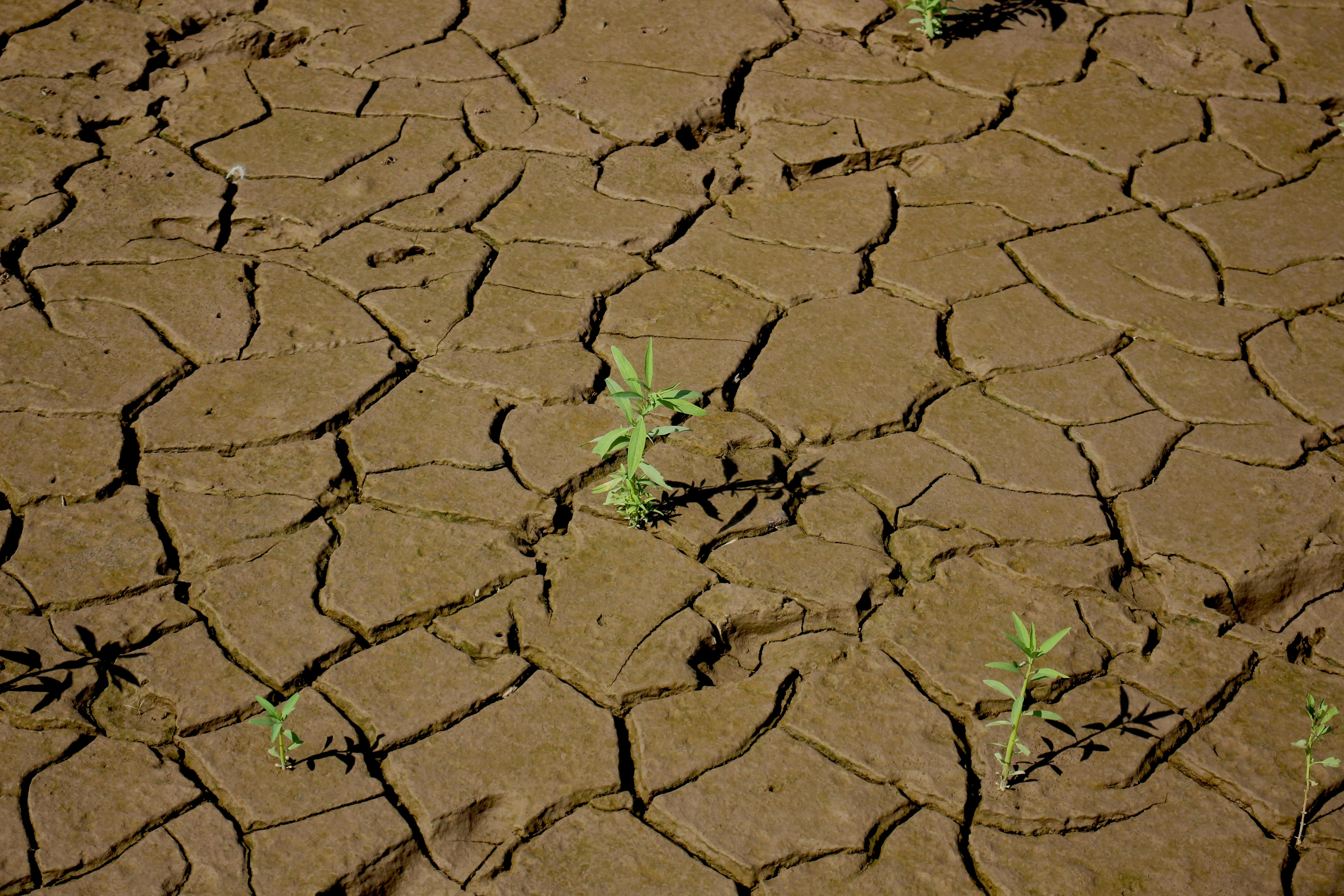 Slow climate adaptation threatening lives and economies