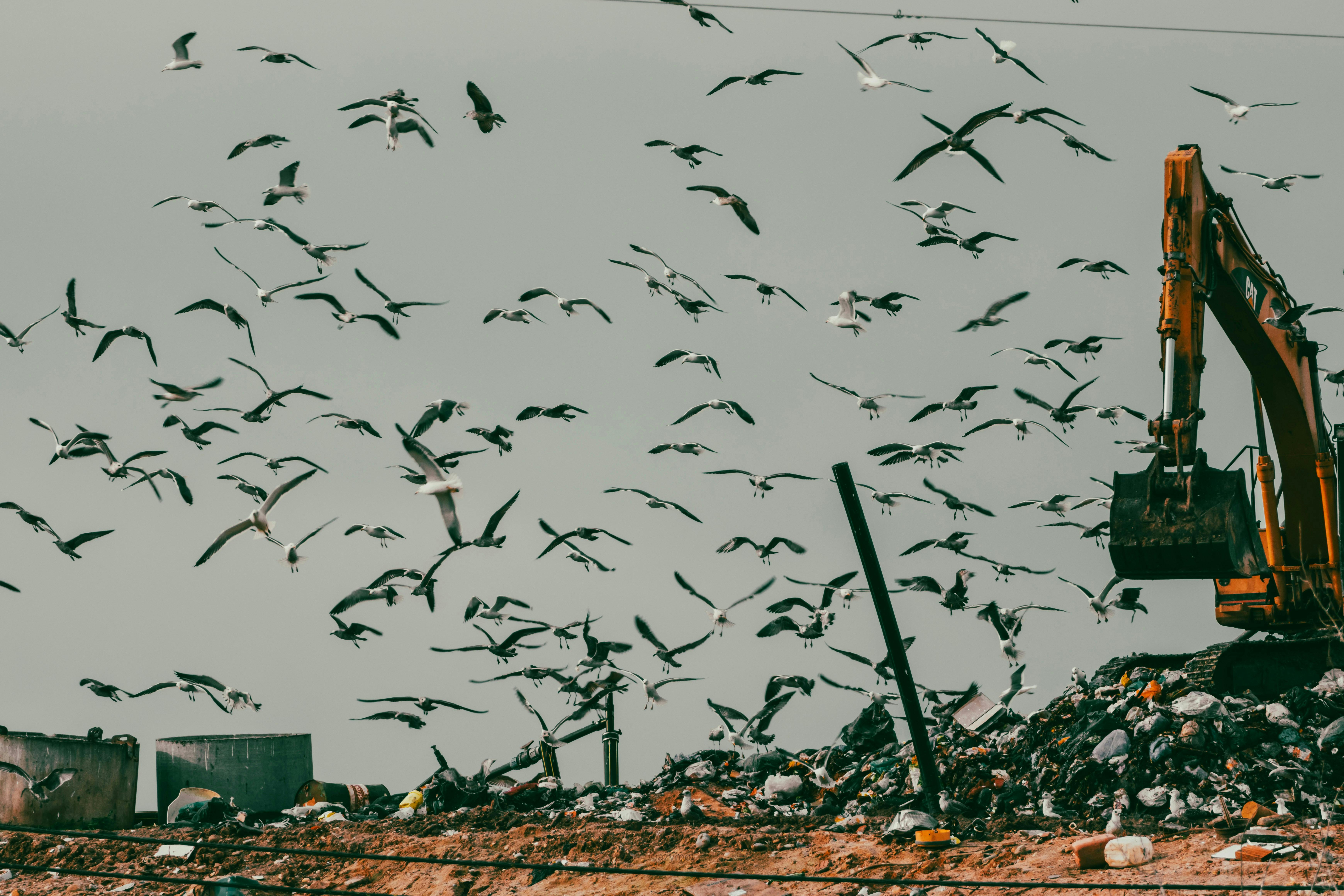 Satellite methane alerts expanded to coal and waste sectors, UNEP announces