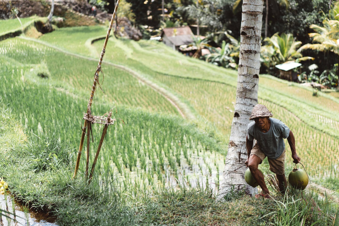 Olam secures US$525 million sustainability KPI-linked loan