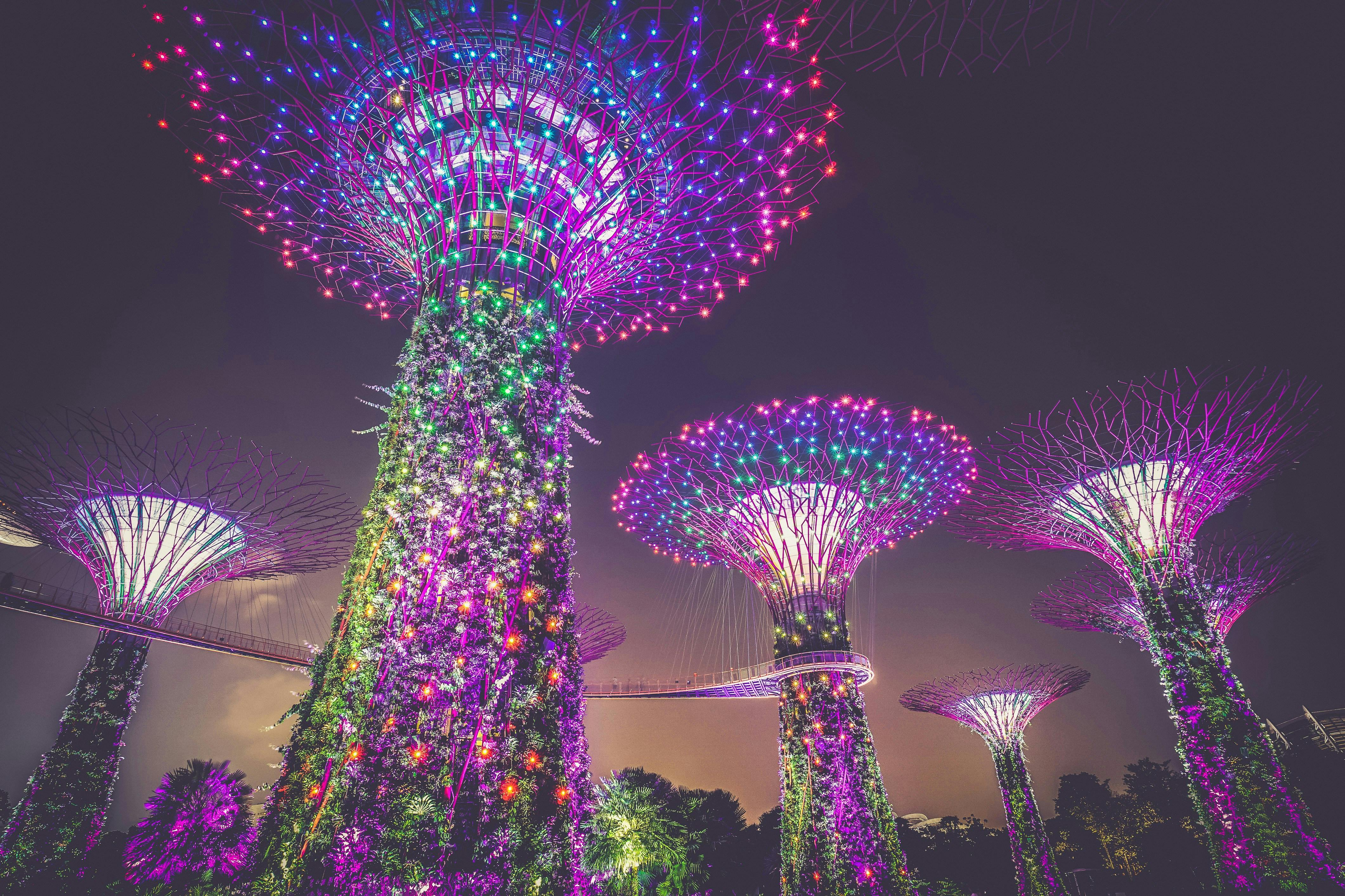 UN Global Compact Network Singapore calls for inclusive sustainability transition as businesses race towards 2030
