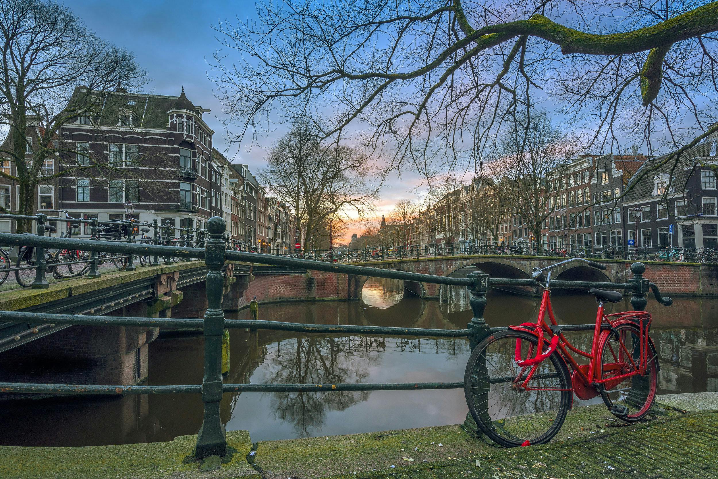 Univers selected by Albert Heijn to accelerate its path to net zero