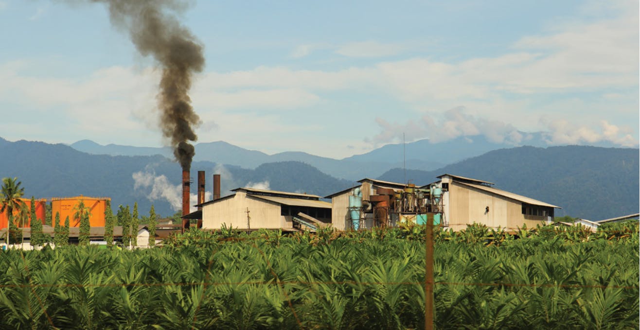 Corporates increasingly aware of risks from Indonesian palm oil, but failing to cascade action through supply chains