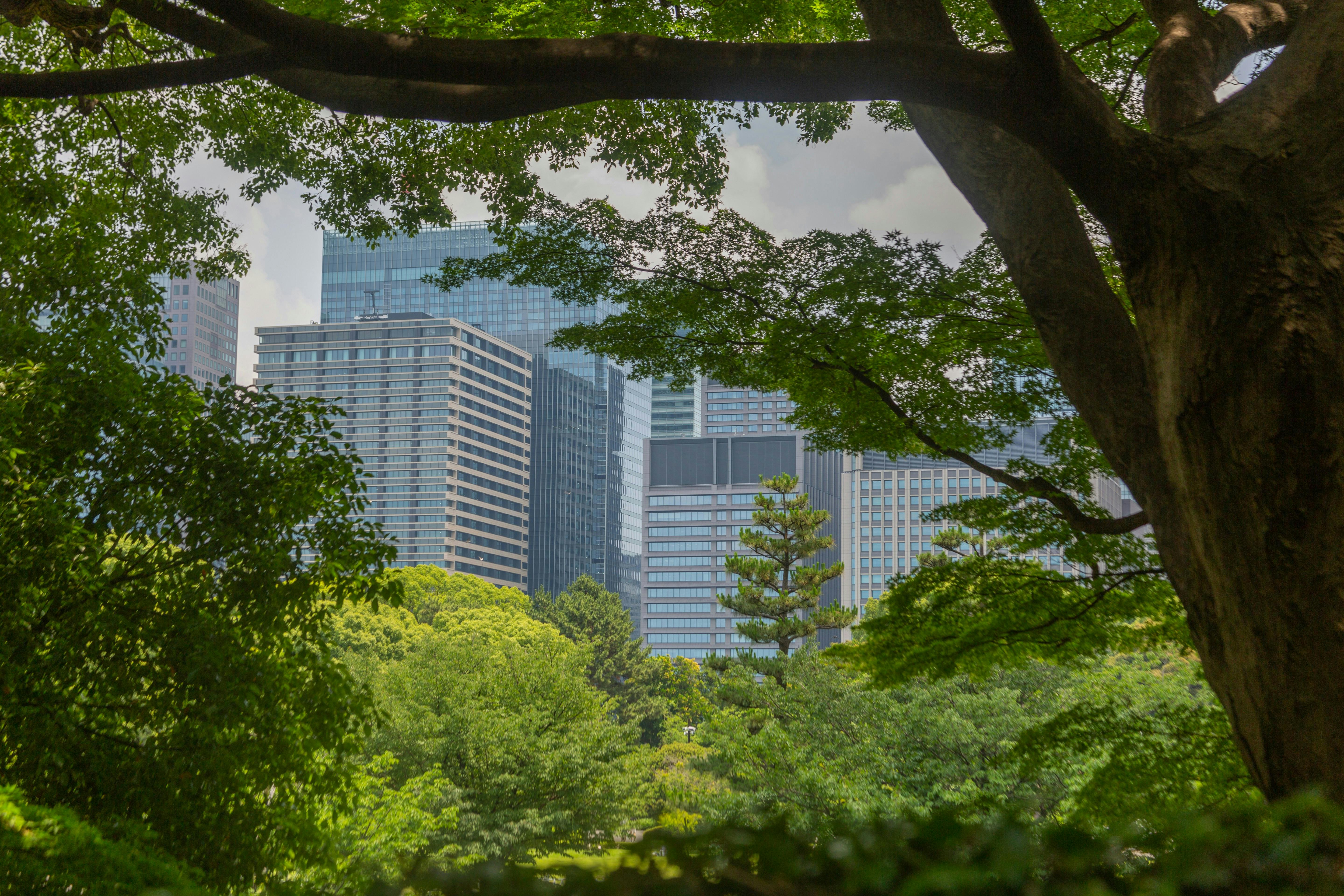 UNEP launches US$100 million programme to accelerate climate, nature action