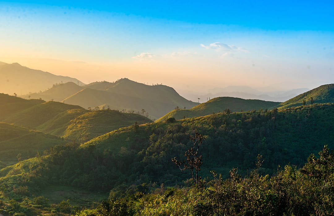 As social, climate crises intensify, sustainability movement must move beyond ‘short-term and piecemeal fixes’