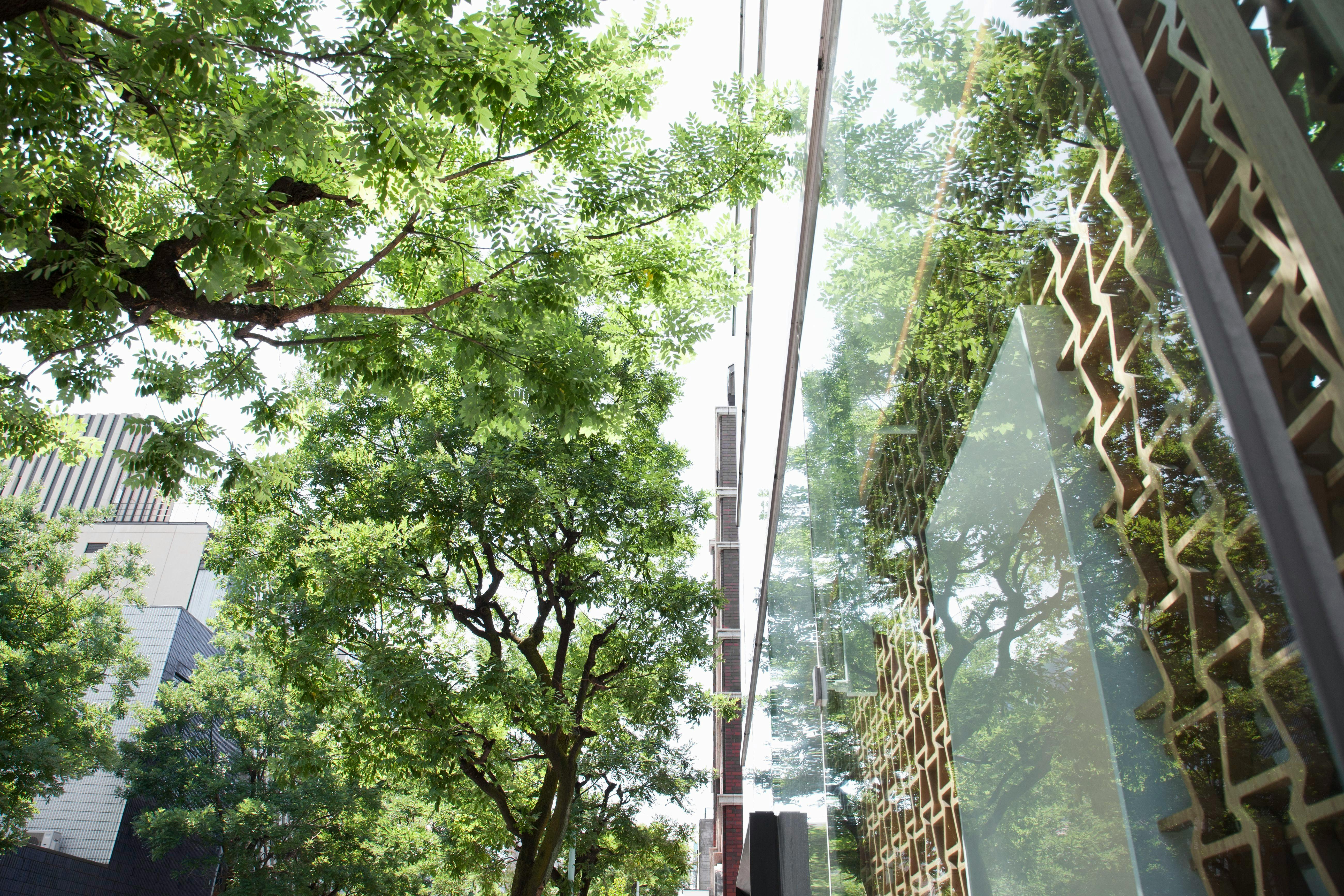 Equinix commits over $9 million to diversify energy mix in Singapore