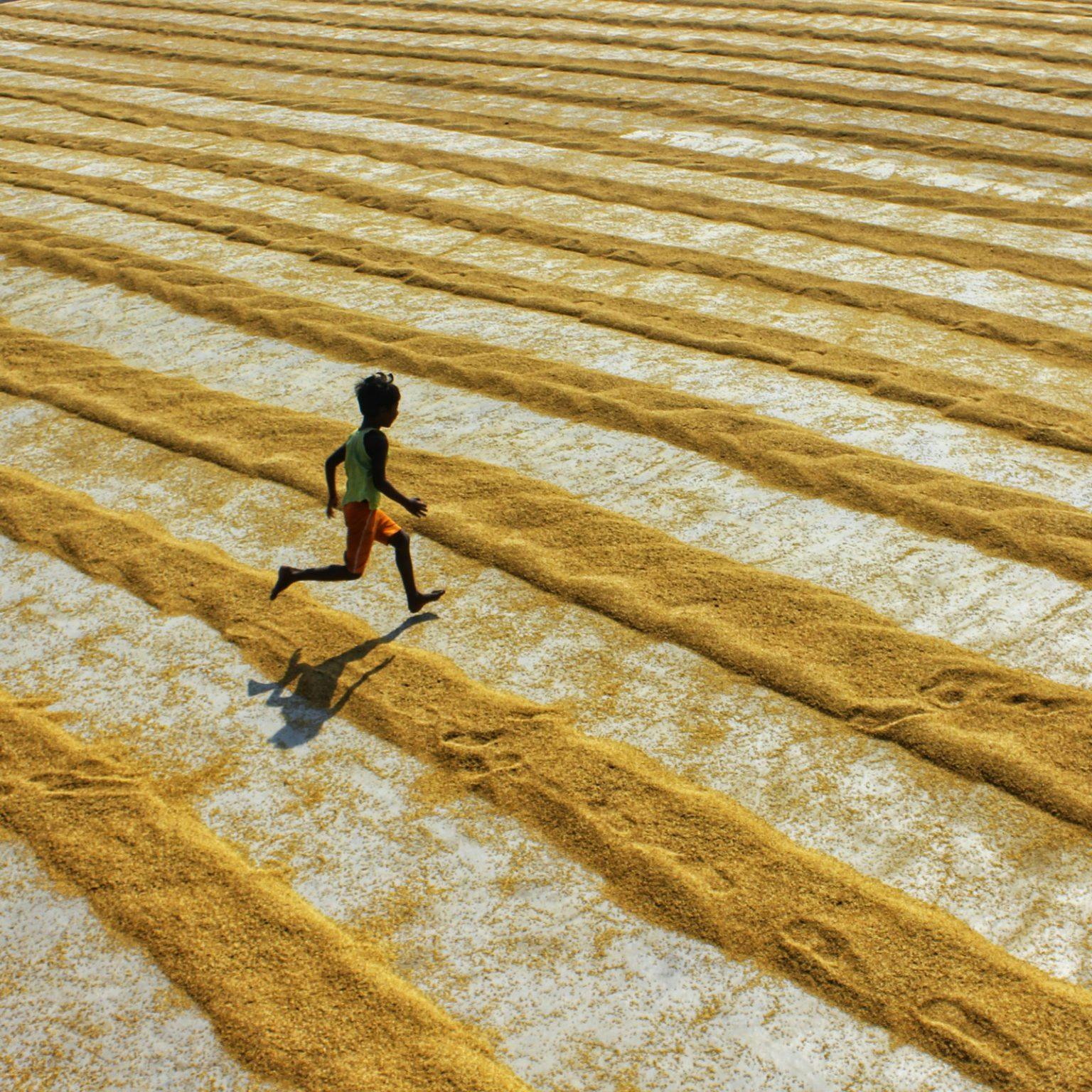 Mandala Capital secures Green Climate Fund approval to scale climate adaptation, transform food systems in South and Southeast Asia