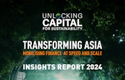 Unlocking capital for sustainability Insights Report 2024