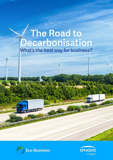 The road to decarbonisation: What’s the best way for business?