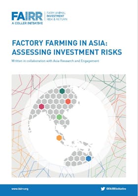 Factory farming in Asia