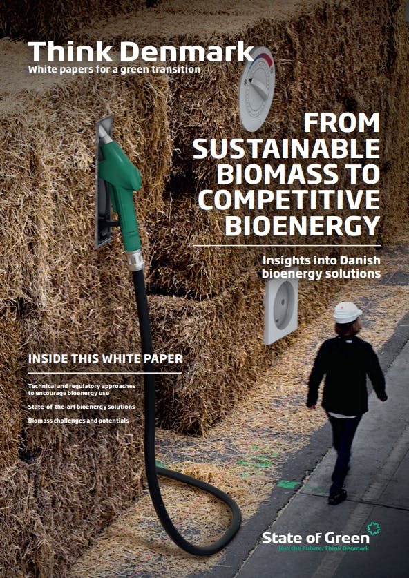 From sustainale biomass to competitive bioenergy