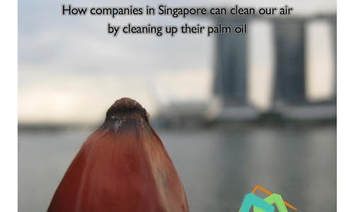 Go haze-free for Singapore