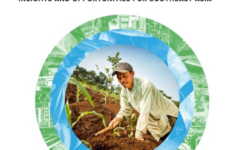 The business case for natural climate solutions: Insights and opportunities for Southeast Asia