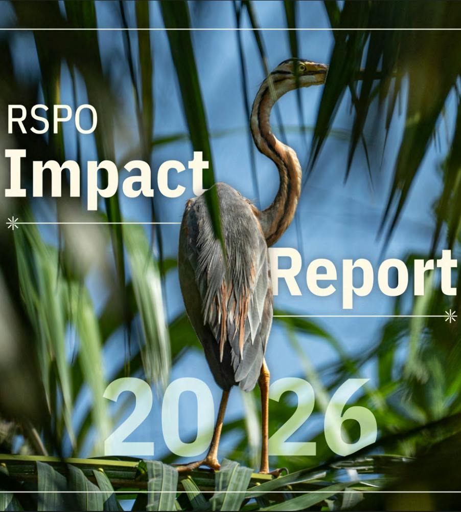 RSPO Impact Report 2026: Certified Sustainable Palm Oil market share signals potential for 40%